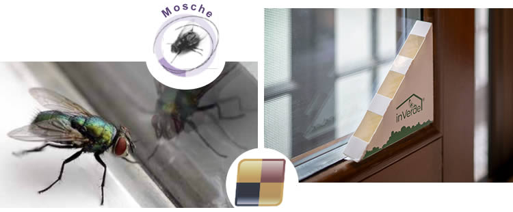 Trappola per mosche