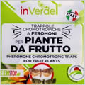 Trappola per ulivo P04268UL